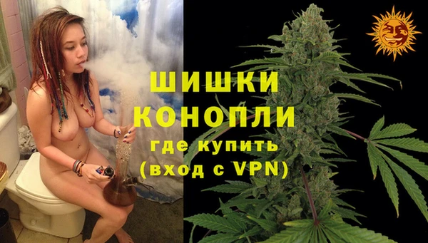 метадон Новодвинск