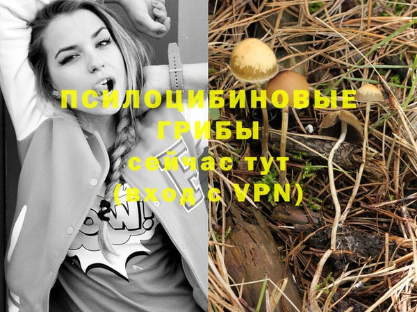 a pvp Новокубанск
